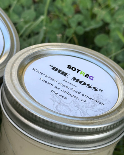 "Irie Moss" Fruit Infused